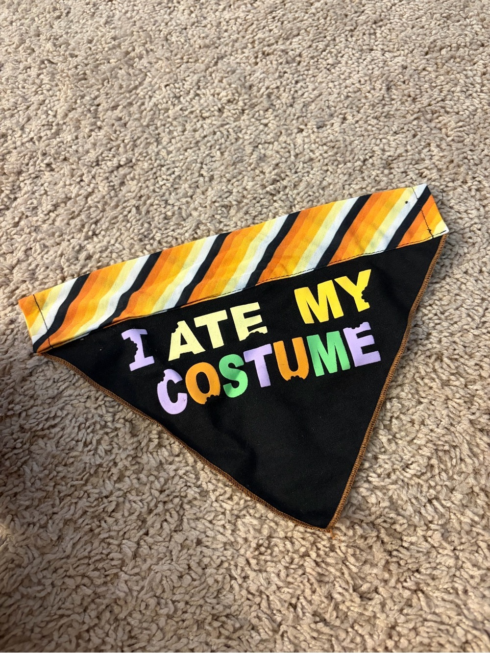 Pet Halloween Bandana - Black with Colorful 'I Ate My Costume' Print
